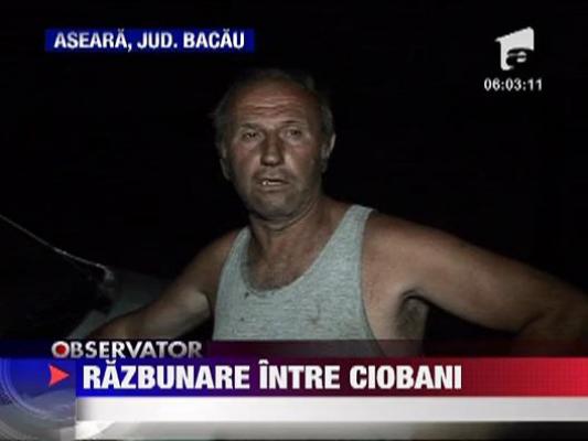 Razbunare intre ciobani