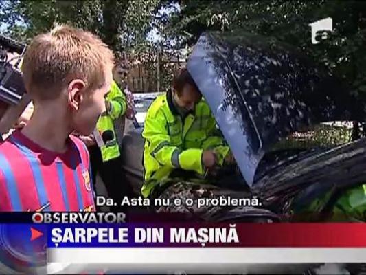 Un sofer din Bucuresti s-a trezit cu un sarpe in masina