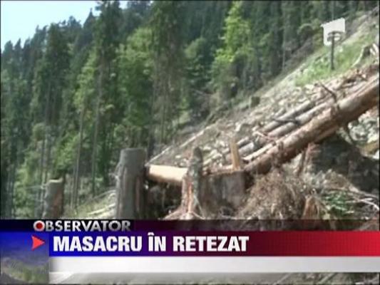 Masacru in Retezat