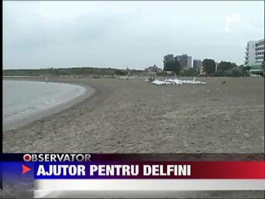 Ajutor pentru delfini