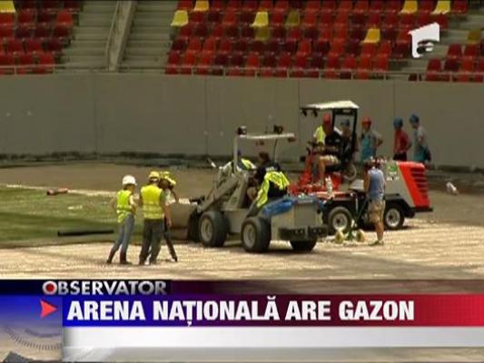 Arena Nationala are gazon