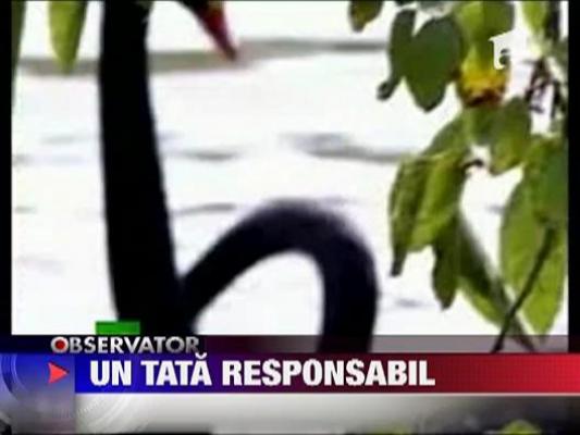 Un tata lebada responsabil