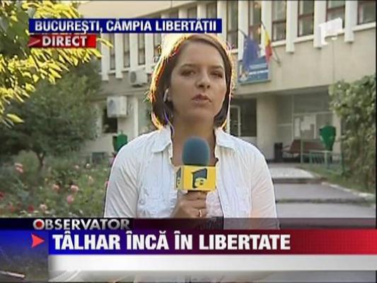 Talhar inca in libertate