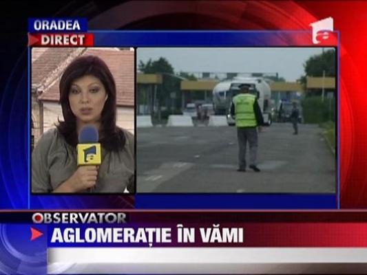 Haos in vamile din vestul tarii