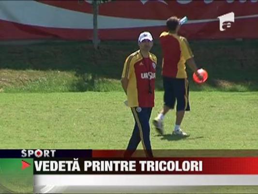 Tricolorii raman modesti