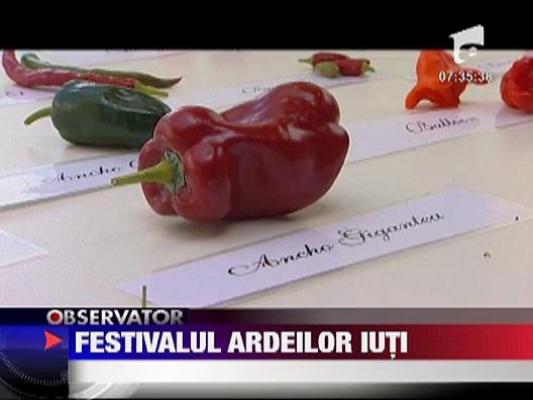 Festivalul ardeilor iuti