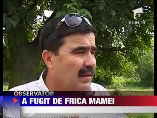 A fugit de acasa de frica mamei