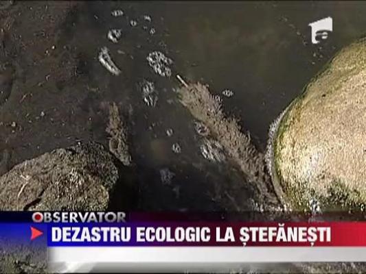 Dezastru ecologic la Stefanesti