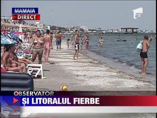 Canicula si la mare