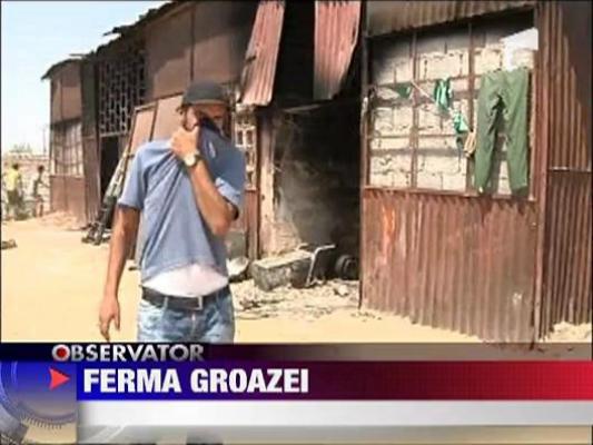 Ferma groazei in Libia