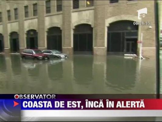 Uraganul Irene a lasat in urma cel putin 19 morti