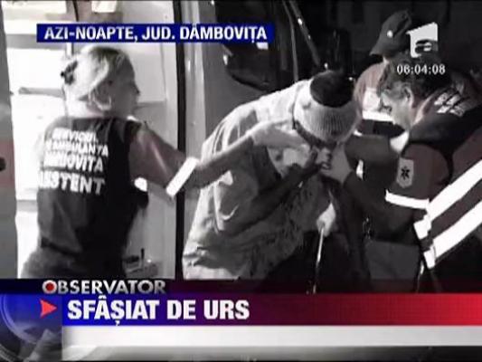 Cioban sfasiat de urs