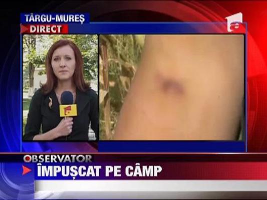 Tanar impuscat intr-un lan de porumb