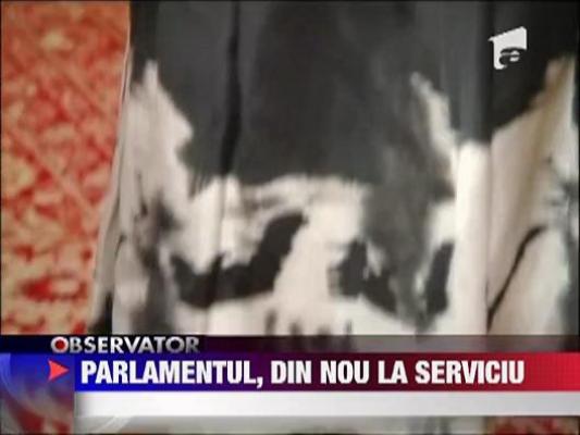 Senatorii si deputatii, din nou la serviciu