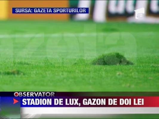 Afla de ce a cedat gazonul la meciul cu Franta