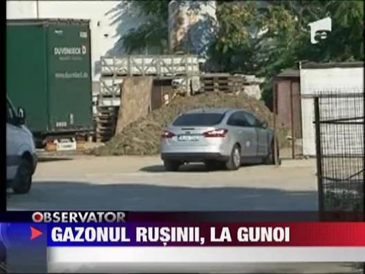 Au inceput lucrarile de inlocuire a gazonului pe Arena Nationala ‎