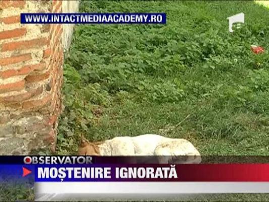 Mostenire ignorata