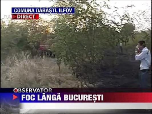 Mai multe hectare de vegetatie si padure ard la marginea Bucurestiului