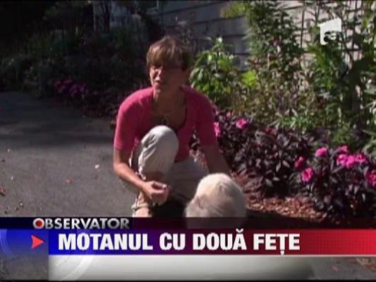 Motanul cu doua fete