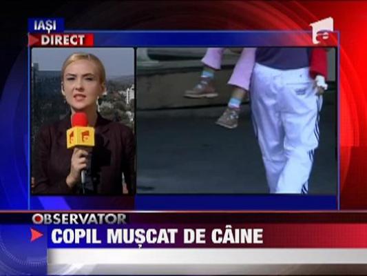 Copil de doi ani, muscat de un caine de organele genitale