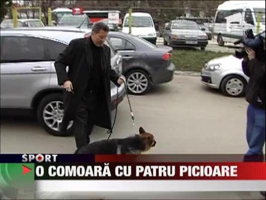 Cornel Dinu a trait un soc la doua saptamani dupa ce a iesit din spital