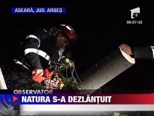 Vijeliile au facut prapad in tara