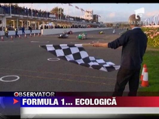 Formula 1 Eco