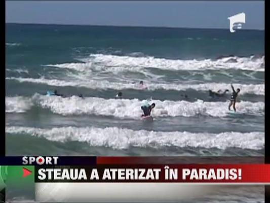 Steaua n-a scapat de Levy