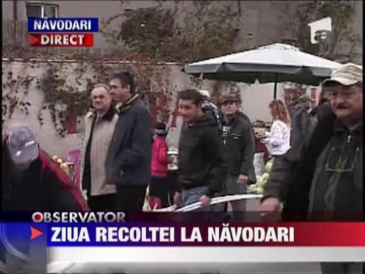 Se sarbatoreste ziua recoltei la Navodari