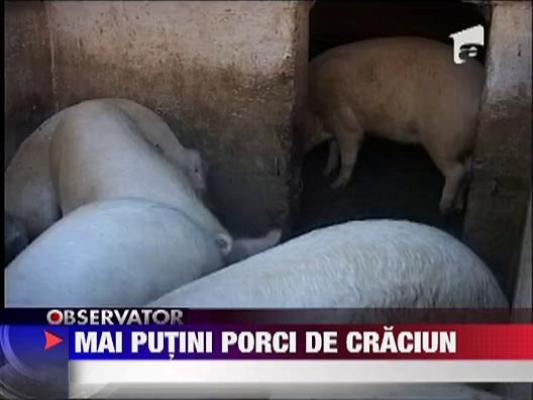 Se imputineaza porcii de Craciun