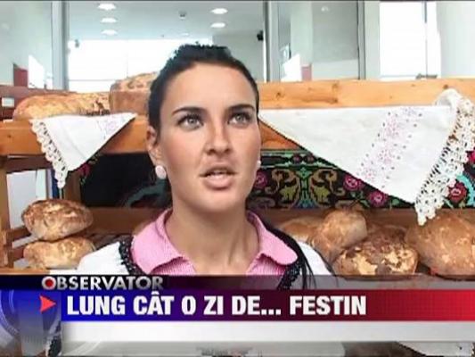 Festin culinar in Alba-Iulia