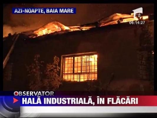 Hala industriala, in flacari la Baia Mare