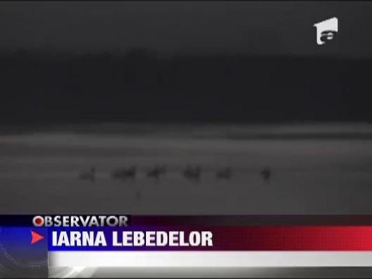 Oaspeti de seama pe malul Dunarii