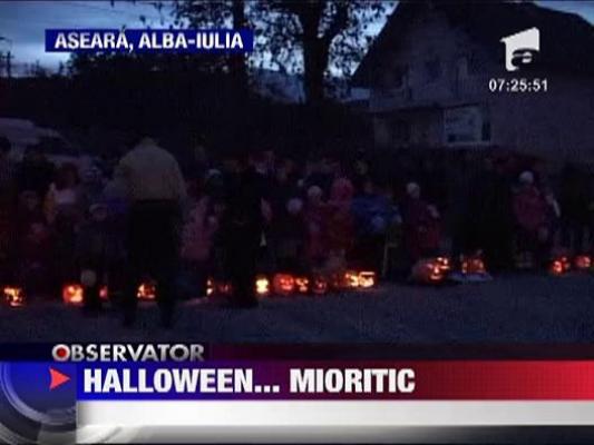 “Bostaniada” de la Micesti invita elevii din Alba Iulia