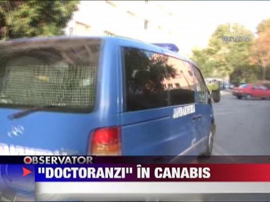 Zeci de mascati au luat cu asalt caminele din Ploiesti