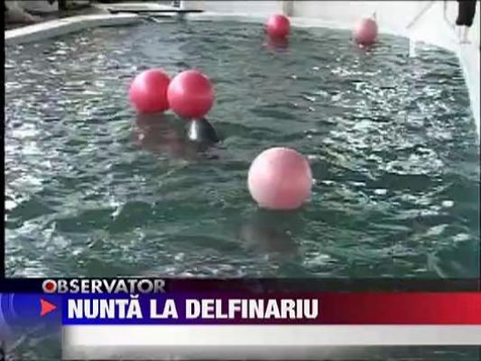 Nunta la Delfinariul din Constanta