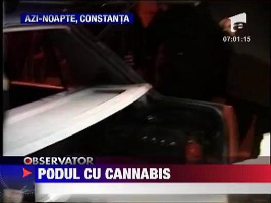 Cultura de cannabis in mansarda