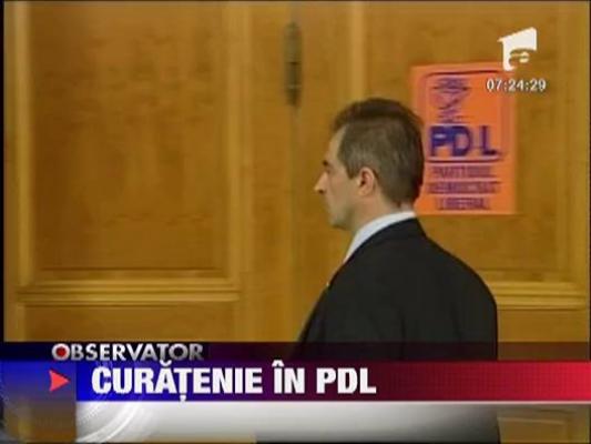 Curatenie in PDL