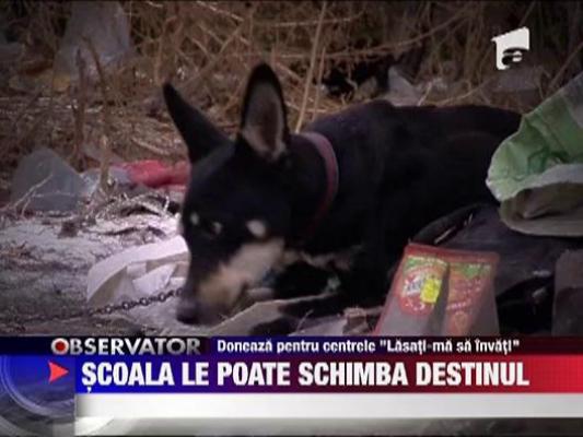 LASATI-MA SA INVAT! Scoala le poate schimba destinul