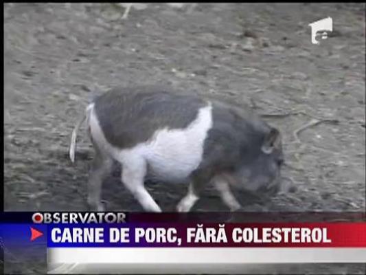 Carne de porc, fara colesterol