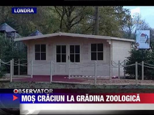 Mos Craciun la gradina zoologica