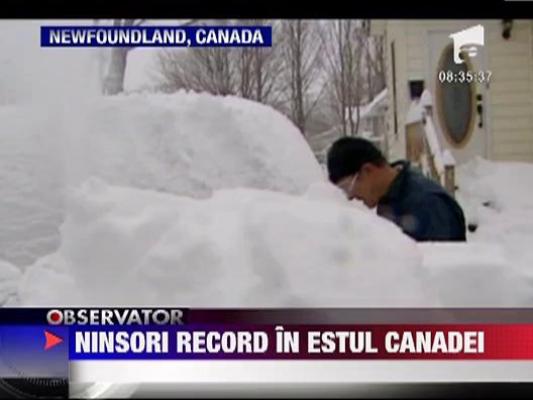 Ninsori record in estul Canadei