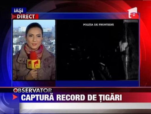 Captura record de tigari