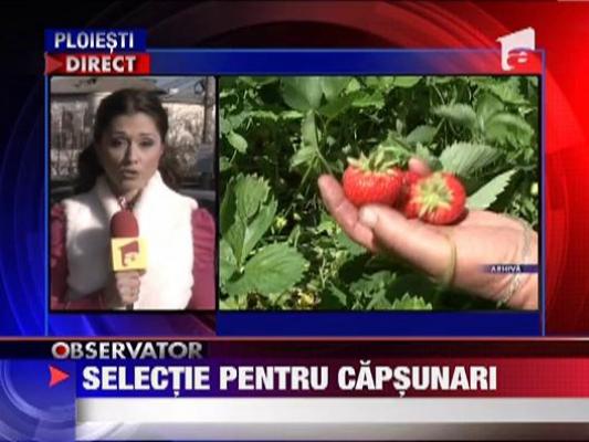 Spaniolii cauta muncitori din Romania