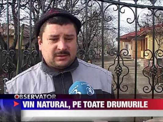 Vin natural pe marginea drumului