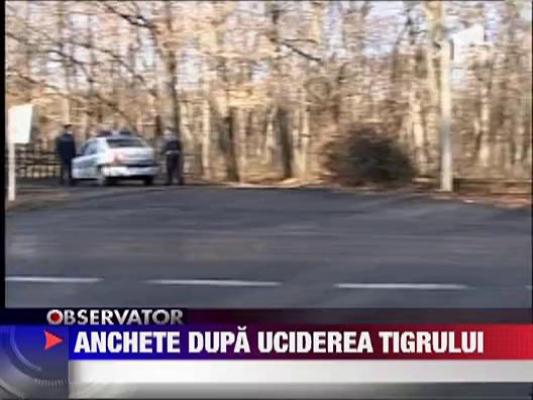 Ancheta, la Sibiu, dupa uciderea tigrului