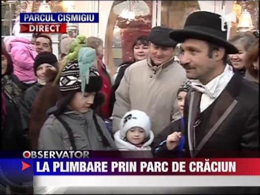 Parcuri pline de Craciun