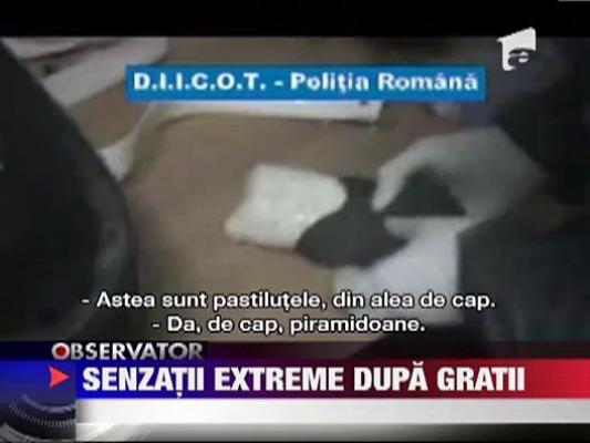 Traficanti de ecstasy prinsi de mascati