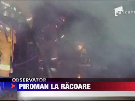 Politistii americani au arestat un suspect banuit ca a incendiat peste 100 de case si masini in Los Angeles