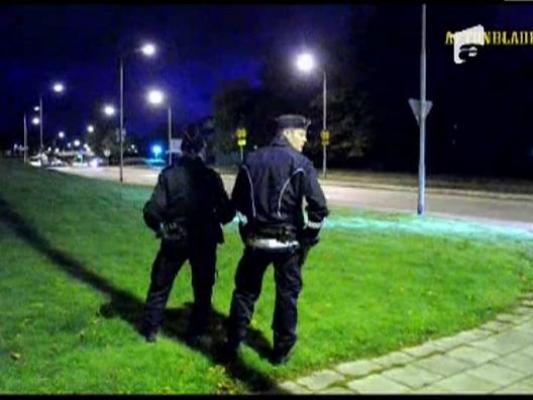 Crime in stil mafiot in Suedia